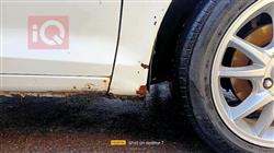 شێری فولوین 2